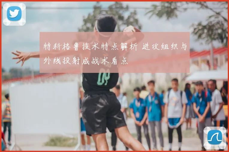 特科格鲁技术特点解析 进攻组织与外线投射成战术看点