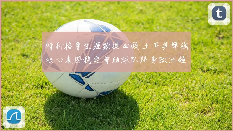 特科格鲁生涯数据回顾 土耳其锋线核心表现稳定曾助球队跻身欧洲强队