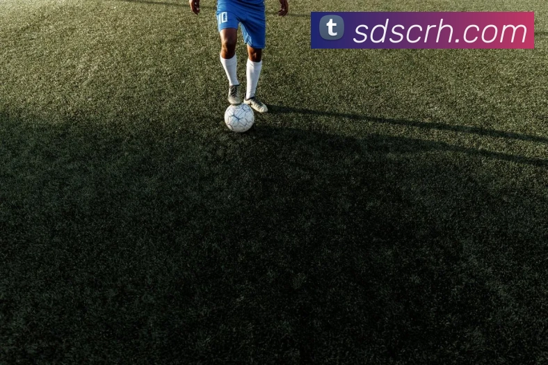 世界杯app官网平台生态图