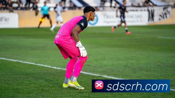 世界杯app官网全站App